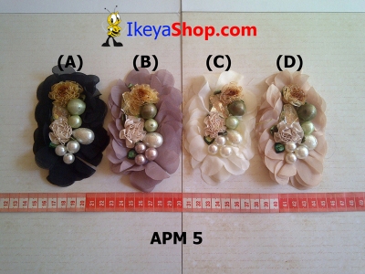 APM 5  large2